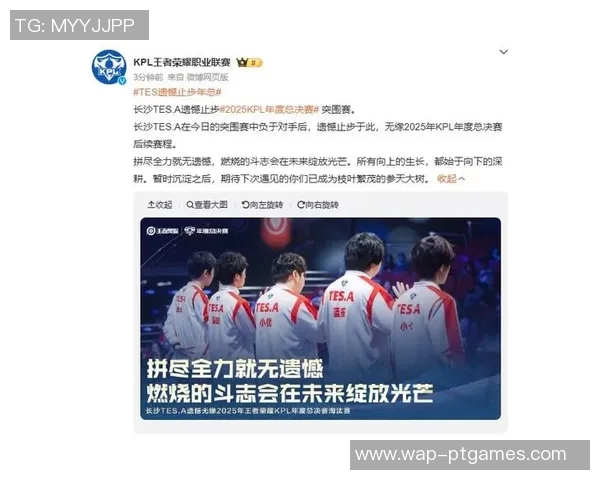 S15电竞总决赛王者荣耀TES战队表现分析及其得失总结