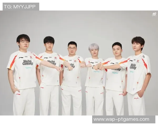 深入剖析英雄联盟V5战队的运营策略与团队协作模式